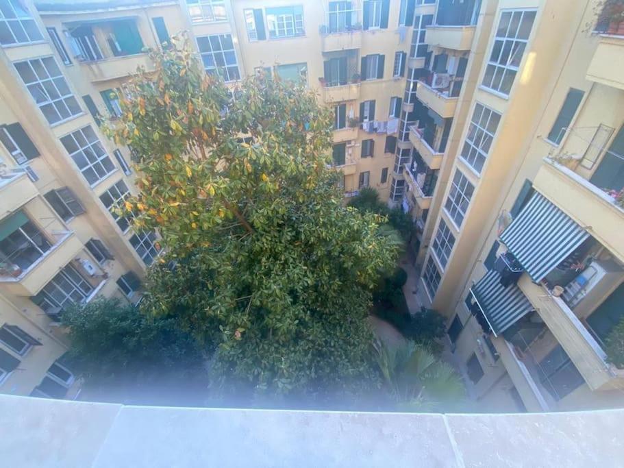 Domus Giulia & Andrea Apartman Róma Kültér fotó
